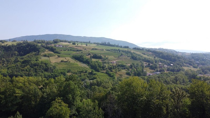 Wanderung - Le Crêt de Tilly