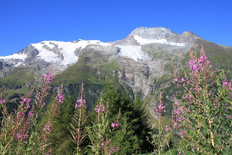 Glaciers de La Gurraz et de La Savinaz