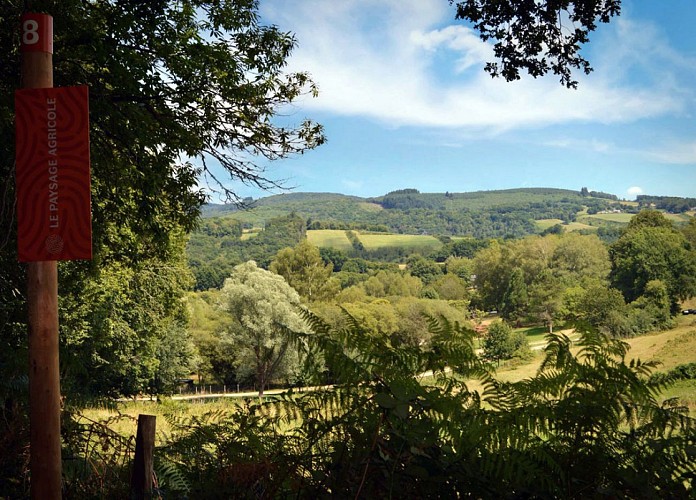 Trail de l'arboretum