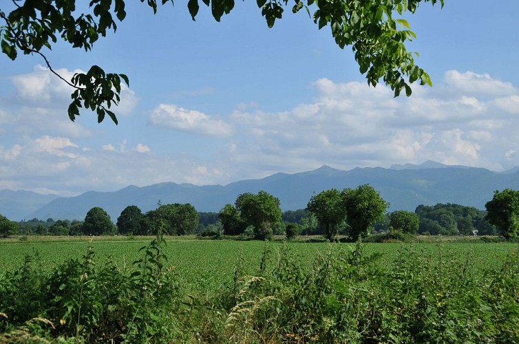 Le Bager à Escou