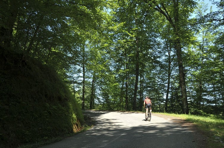 Montée bois du Bager