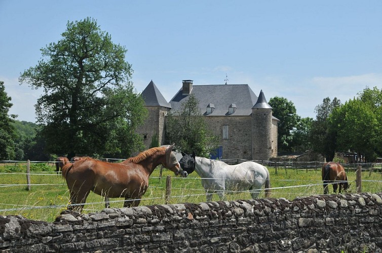 Château de Goès