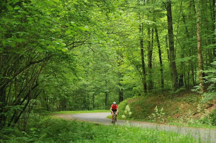 Bois du Bager Sud