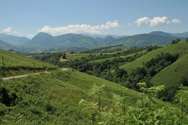 Descente du col de Bas