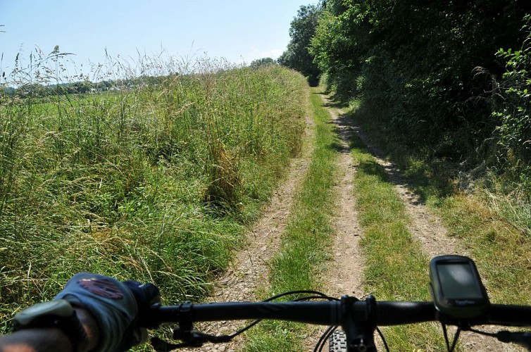 Retour à Oloron Sainte-Marie