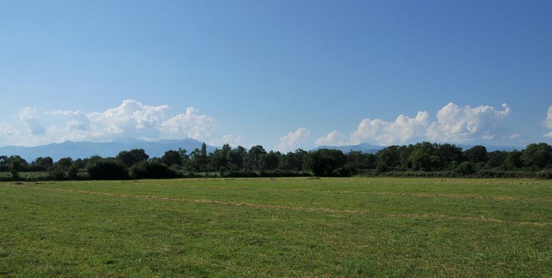 Vue sur les Pyrénées