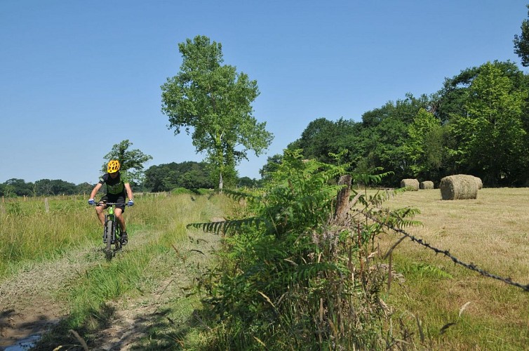 Plateau de Poey