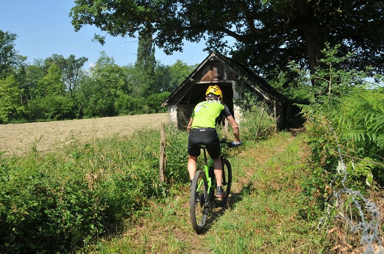 Sentier sous Poey