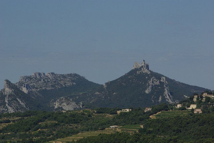 Dentelles de Montmirail