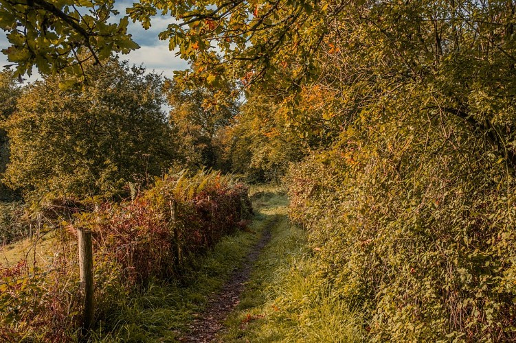 Circuit du Mont César - Montchaton / Montmartin-sur-Mer