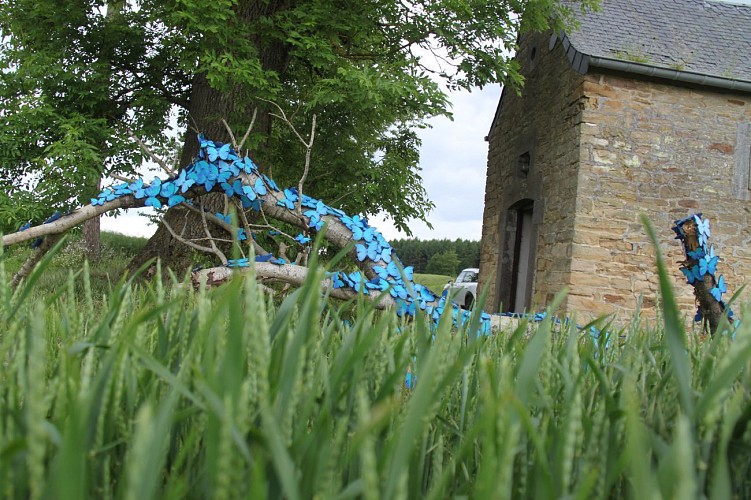 Sentiers d'Art - Lus 3: Schaltin