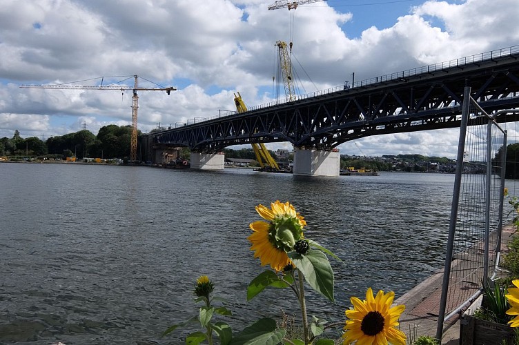 Parc des libellules sur les hauteurs de Visé
