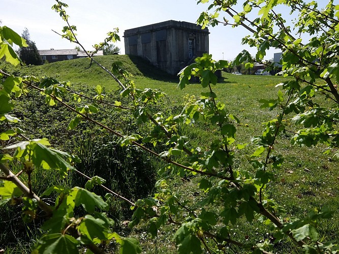Parc des libellules sur les hauteurs de Visé