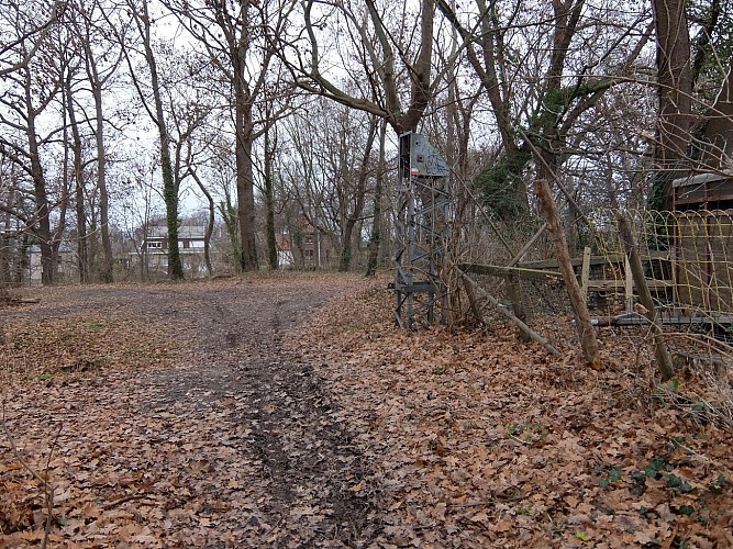 Parc des libellules sur les hauteurs de Visé