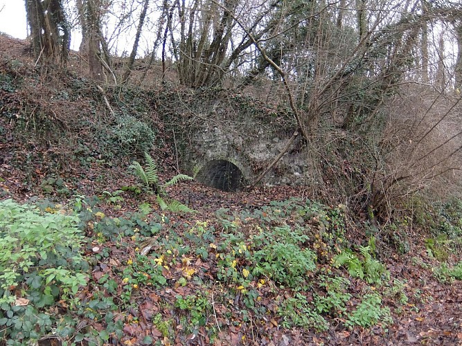 Parc des libellules sur les hauteurs de Visé