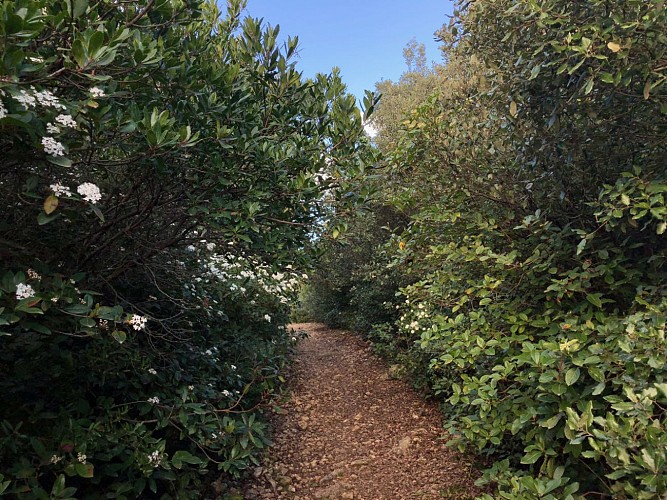 Chapelle de Valcroze / Lac de la boissière