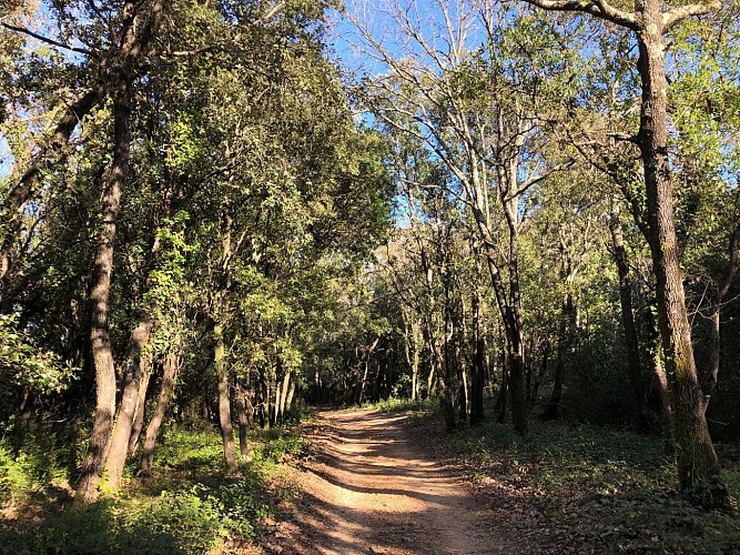Chapelle de Valcroze / Lac de la boissière