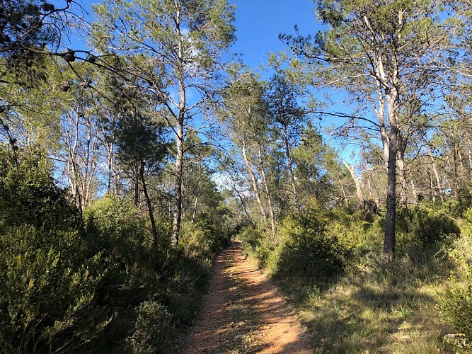 Chapelle de Valcroze / Lac de la boissière