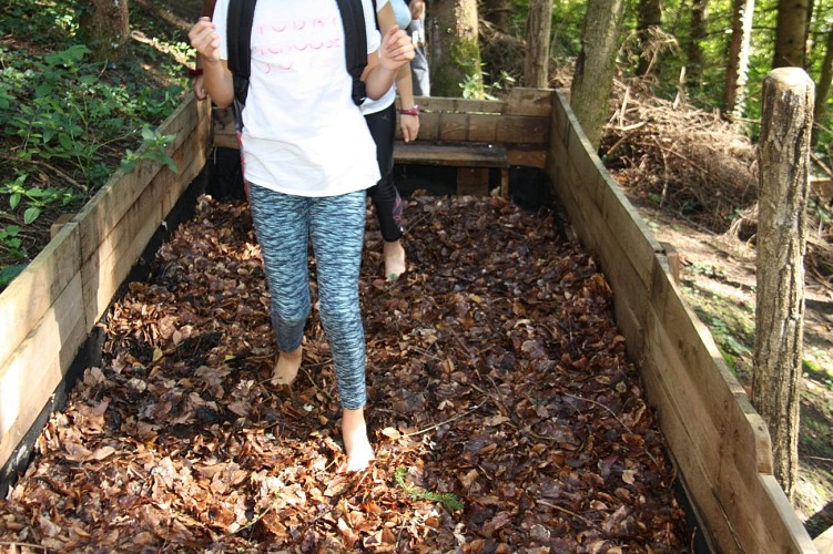 Sentiero a piedi nudi: natura e sensi