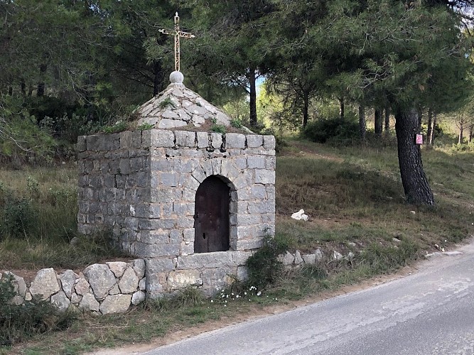 Dans la garrigue de Pignan