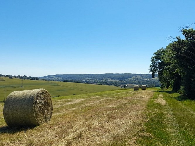 Terrebasse "Entre Louge et Mathieu"