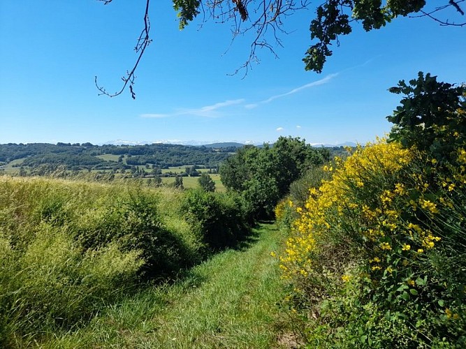 Terrebasse "Entre Louge et Mathieu"