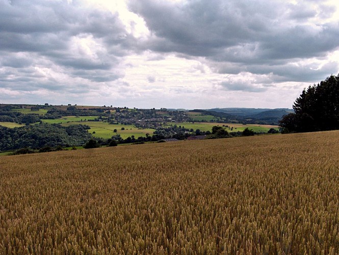 Paysagecampagnardpresseuxfraiture