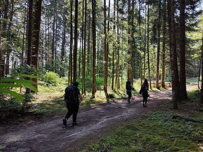 Mont Tournier wandeling