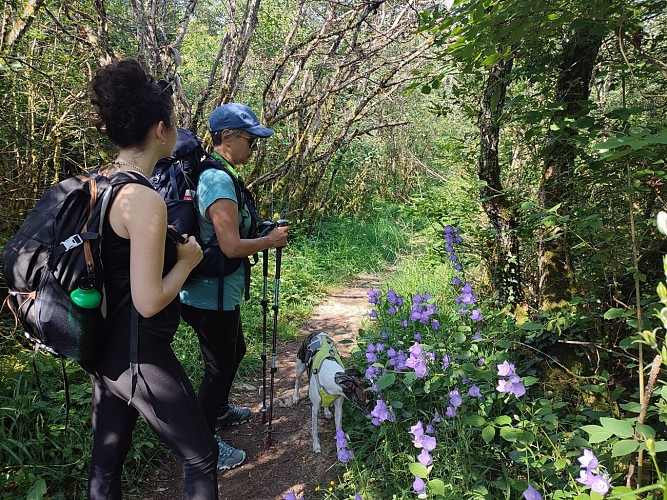 Mont Tournier wandeling