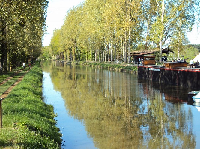 Au bord du canal