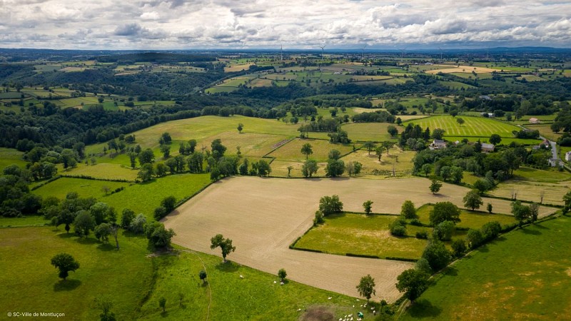 Le bocage de Quinssaines
