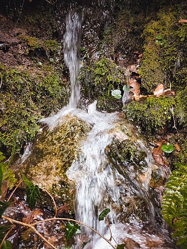 Les gorges du Cher 01