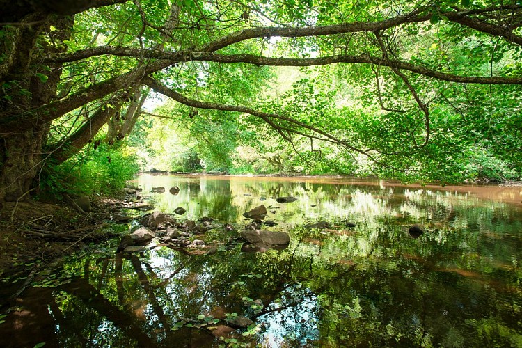 Les gorges du Cher 03