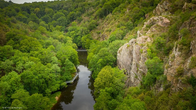 Les châtaigniers 02