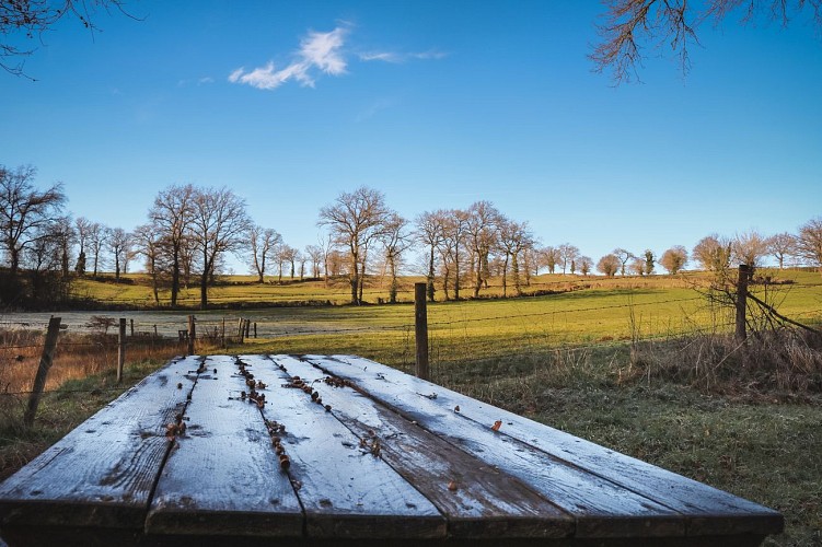 Le chemin de fer de l'Économique 03