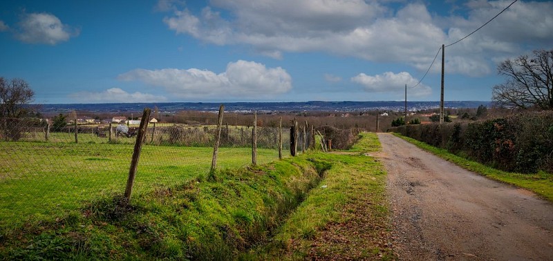 Ancien vignoble domératois 03