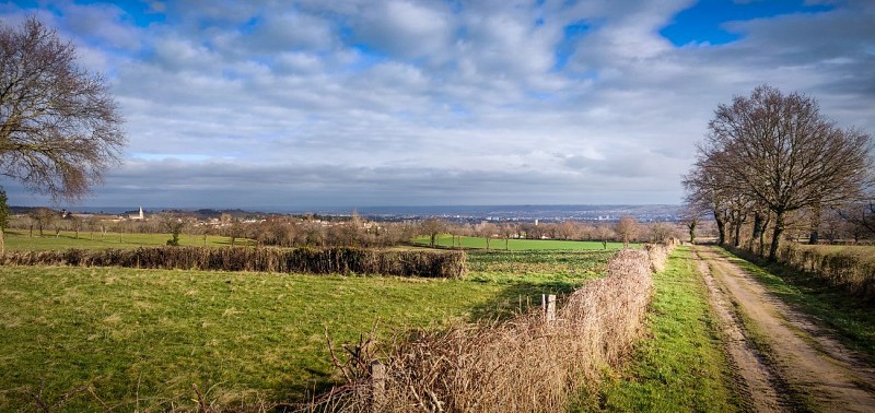 Les communaux de Coursage 02