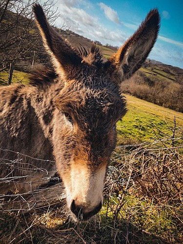 Le dolmen de Mazérat Bis 01