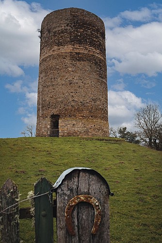 Le bois de Champeaux 01