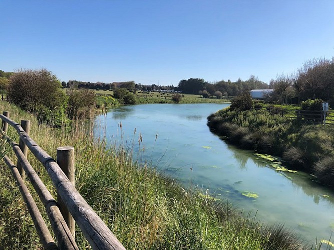 Balade entre marais et bord de mer - Du Parc de l'Édit à la jetée en Bois