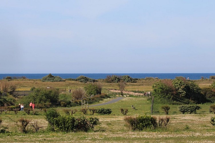 Balade entre marais et bord de mer - Du Parc de l'Édit à la jetée en Bois