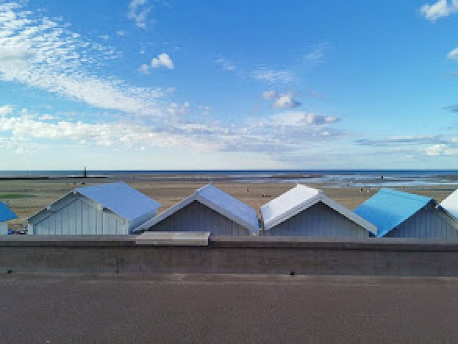 Balade entre marais et bord de mer - Du Parc de l'Édit à la jetée en Bois