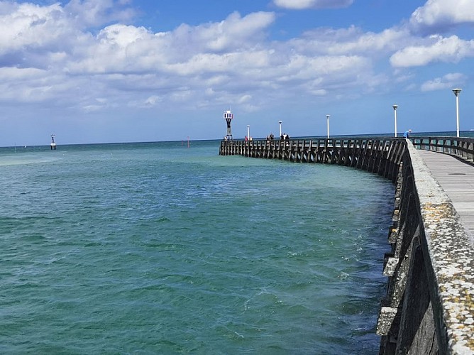 Balade entre marais et bord de mer - Du Parc de l'Édit à la jetée en Bois