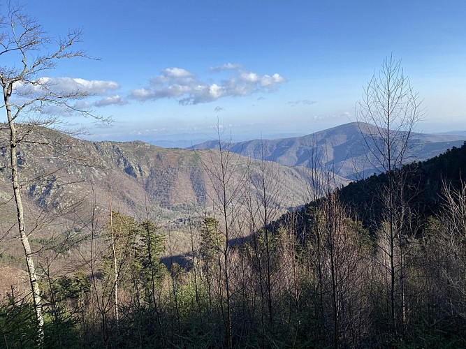 vue :au-dessus de la cabane