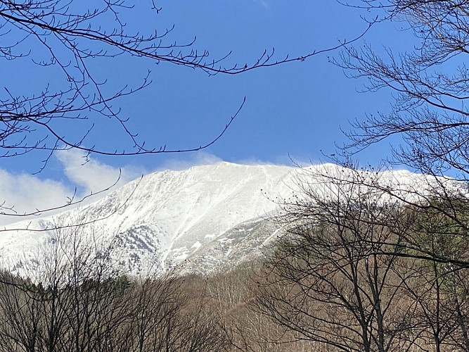 Cabane de l'Estanyol (Valmania) 1479 m