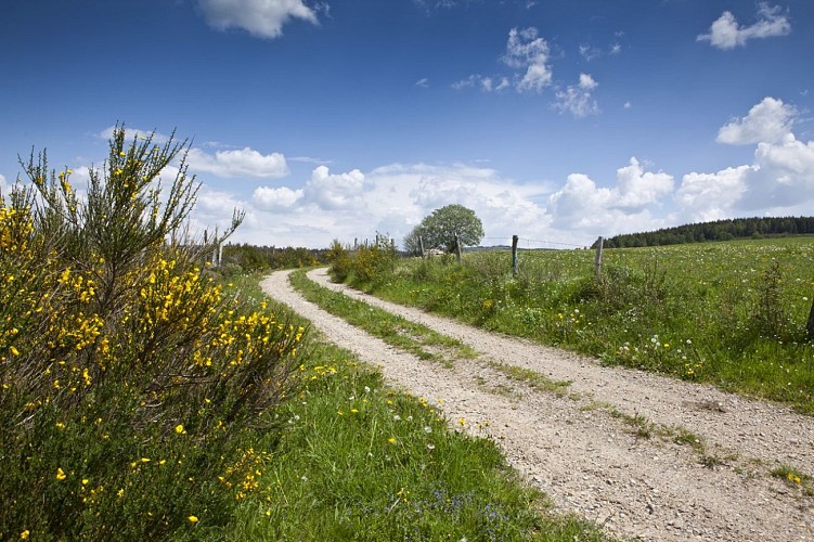 Circuit voiture de l'Aubrac Cantalien