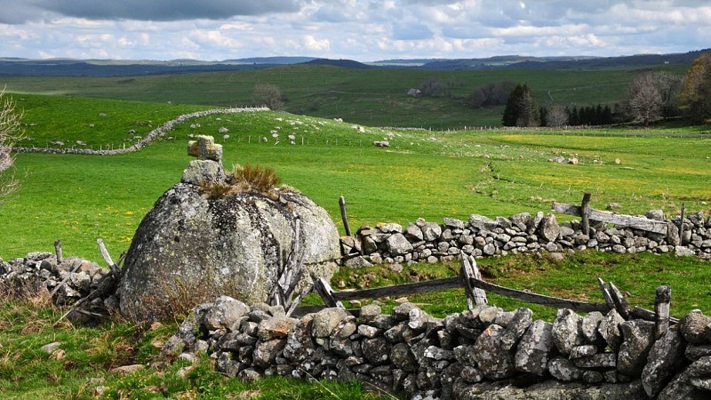 Road trip "Aubrac Cantalien"