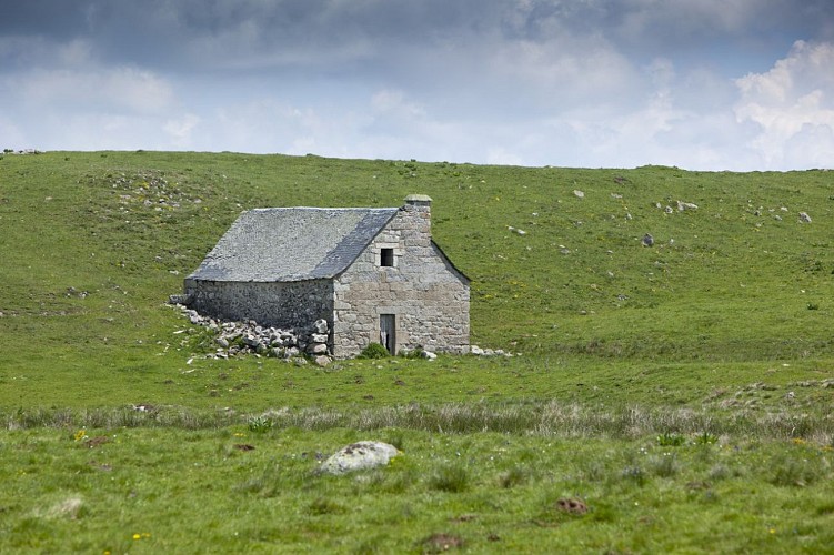 Road trip "Aubrac Cantalien"