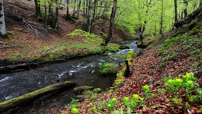 Autoreis "Aubrac Cantalien"