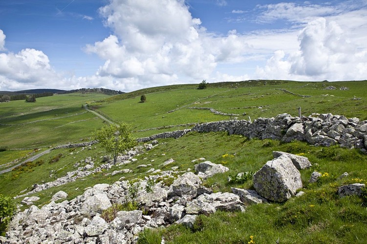 Circuit voiture de l'Aubrac Cantalien